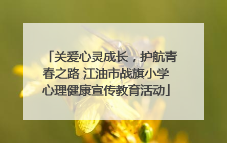 关爱心灵成长，护航青春之路 江油市战旗小学心理健康宣传教育活动