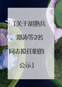 关于胡艳兵、郑涛等2名同志拟任职的公示