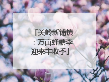关岭新铺镇：万亩蜂糖李迎来丰收季