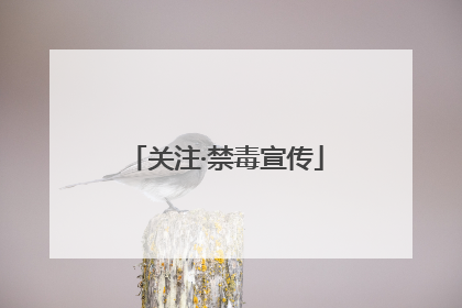 关注·禁毒宣传