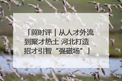 冀时评｜从人才外流到聚才热土 河北打造招才引智“强磁场”
