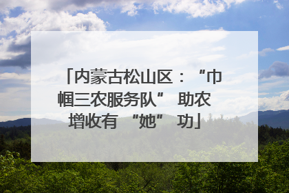 内蒙古松山区：“巾帼三农服务队” 助农增收有 “她” 功