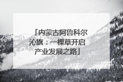 内蒙古阿鲁科尔沁旗：一棵草开启产业发展之路