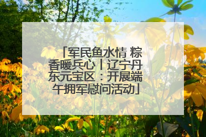 军民鱼水情 粽香暖兵心丨辽宁丹东元宝区：开展端午拥军慰问活动