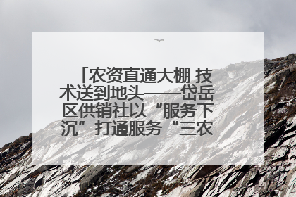农资直通大棚 技术送到地头——岱岳区供销社以“服务下沉”打通服务“三农”最后一公里