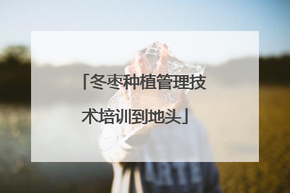 冬枣种植管理技术培训到地头