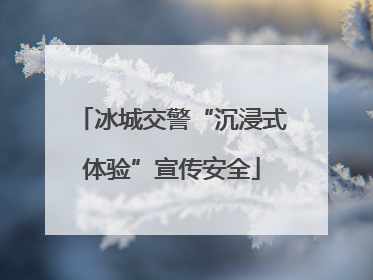 冰城交警“沉浸式体验”宣传安全