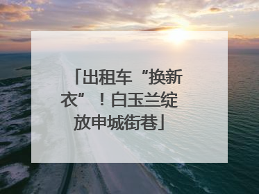 出租车“换新衣”！白玉兰绽放申城街巷