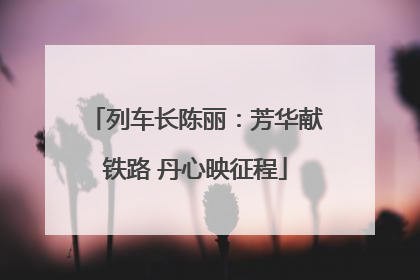 列车长陈丽：芳华献铁路 丹心映征程