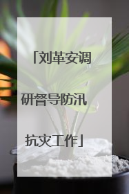刘革安调研督导防汛抗灾工作