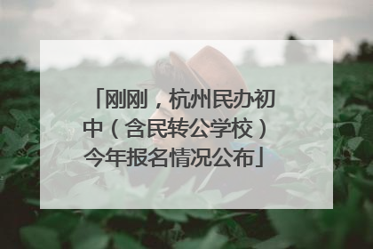 刚刚，杭州民办初中（含民转公学校）今年报名情况公布