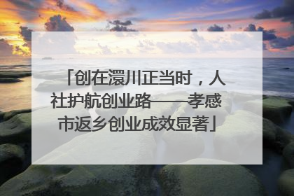 创在澴川正当时，人社护航创业路——孝感市返乡创业成效显著