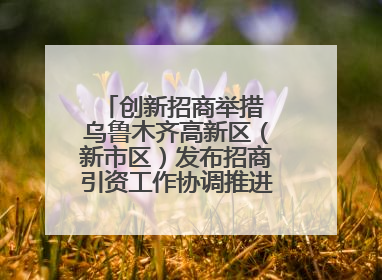 创新招商举措 乌鲁木齐高新区（新市区）发布招商引资工作协调推进机制 打造投资发展新高地