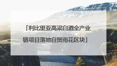 利比里亚高粱白酒全产业链项目落地自贸雨花区块