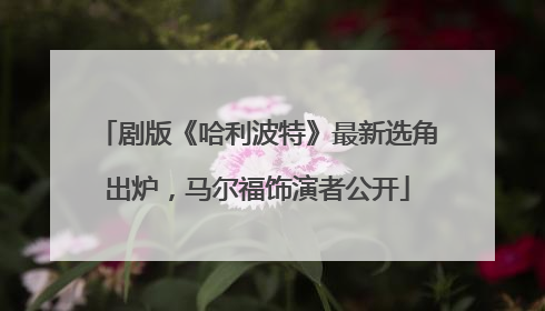 剧版《哈利波特》最新选角出炉，马尔福饰演者公开