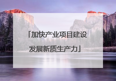 加快产业项目建设 发展新质生产力