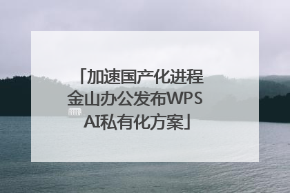 加速国产化进程 金山办公发布WPS AI私有化方案