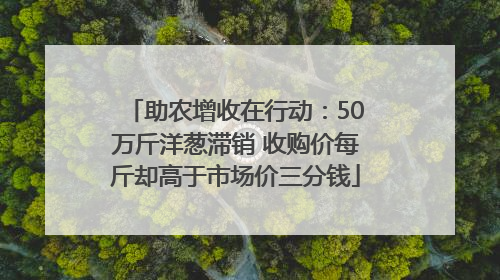助农增收在行动：50万斤洋葱滞销 收购价每斤却高于市场价三分钱
