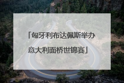 匈牙利布达佩斯举办意大利面桥世锦赛