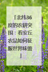 北纬36度的农耕突围：看安丘农品如何征服世界味蕾