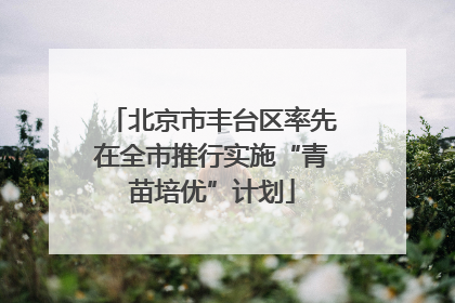 北京市丰台区率先在全市推行实施“青苗培优”计划