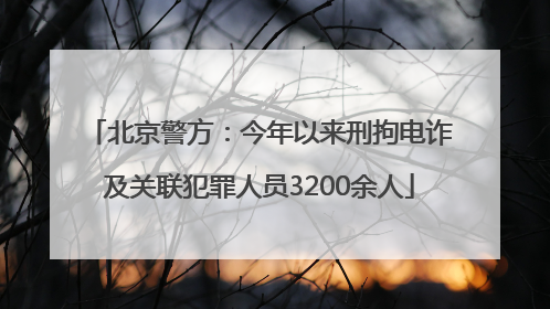 北京警方：今年以来刑拘电诈及关联犯罪人员3200余人