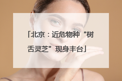 北京：近危物种“树舌灵芝”现身丰台