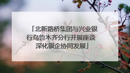 北新路桥集团与兴业银行乌鲁木齐分行开展座谈 深化银企协同发展