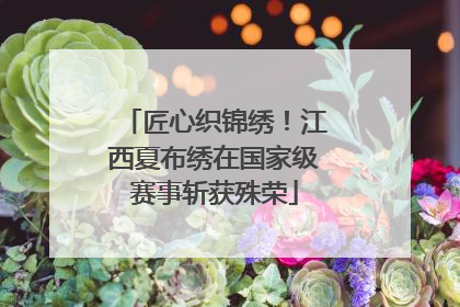 匠心织锦绣！江西夏布绣在国家级赛事斩获殊荣