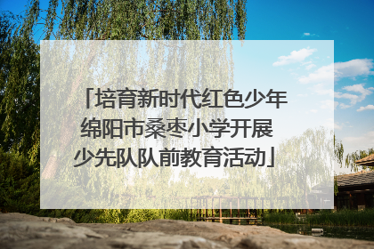 培育新时代红色少年 绵阳市桑枣小学开展少先队队前教育活动