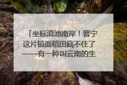 坐标滇池南岸！晋宁这片镜面稻田藏不住了——有一种叫云南的生活之365天