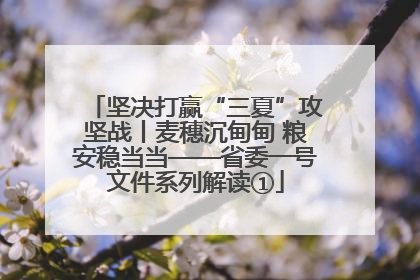 坚决打赢“三夏”攻坚战丨麦穗沉甸甸 粮安稳当当——省委一号文件系列解读①