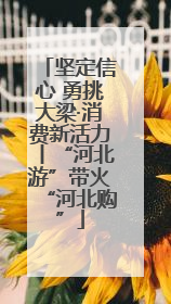 坚定信心 勇挑大梁·消费新活力丨“河北游”带火“河北购”