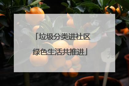 垃圾分类进社区 绿色生活共推进