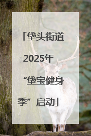 垡头街道2025年“垡宝健身季”启动