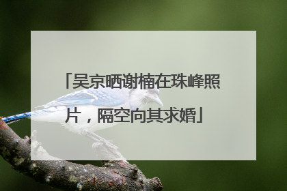 吴京晒谢楠在珠峰照片，隔空向其求婚