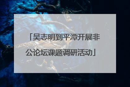 吴志明到平潭开展非公论坛课题调研活动