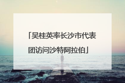 吴桂英率长沙市代表团访问沙特阿拉伯