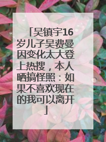 吴镇宇16岁儿子吴费曼因变化太大登上热搜，本人晒搞怪照：如果不喜欢现在的我可以离开