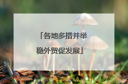 各地多措并举稳外贸促发展