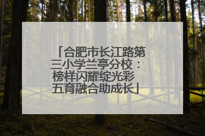 合肥市长江路第三小学兰亭分校：榜样闪耀绽光彩 五育融合助成长