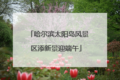 哈尔滨太阳岛风景区添新景迎端午