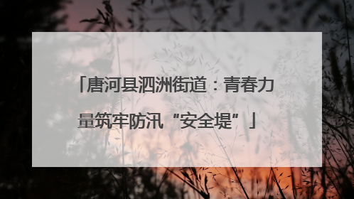 唐河县泗洲街道：青春力量筑牢防汛“安全堤”