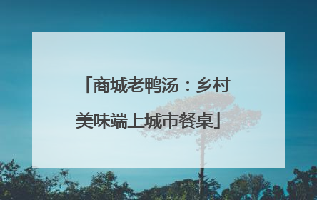商城老鸭汤：乡村美味端上城市餐桌