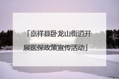 嘉祥县卧龙山街道开展医保政策宣传活动