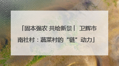 固本强农 共绘新景 ︳卫辉市南社村：蔬菜村的“链”动力