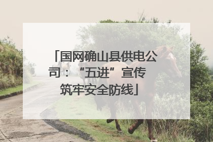 国网确山县供电公司：“五进”宣传 筑牢安全防线