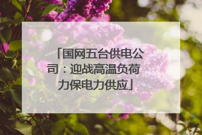 国网五台供电公司：迎战高温负荷 力保电力供应