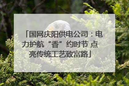 国网庆阳供电公司：电力护航“香”约时节 点亮传统工艺致富路