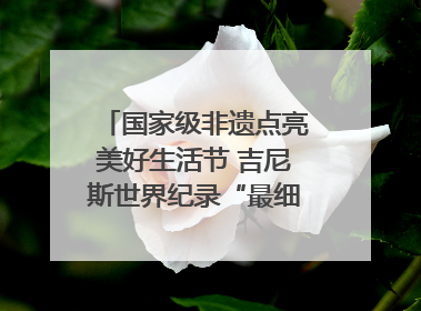 国家级非遗点亮美好生活节 吉尼斯世界纪录“最细手工切面”邀您来品！｜美好生活有“盐”味
